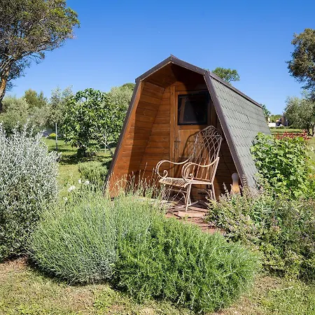 Semesterbostad House Olive *